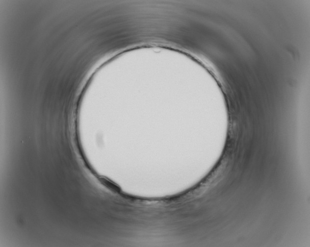 X0000113040903200910081208