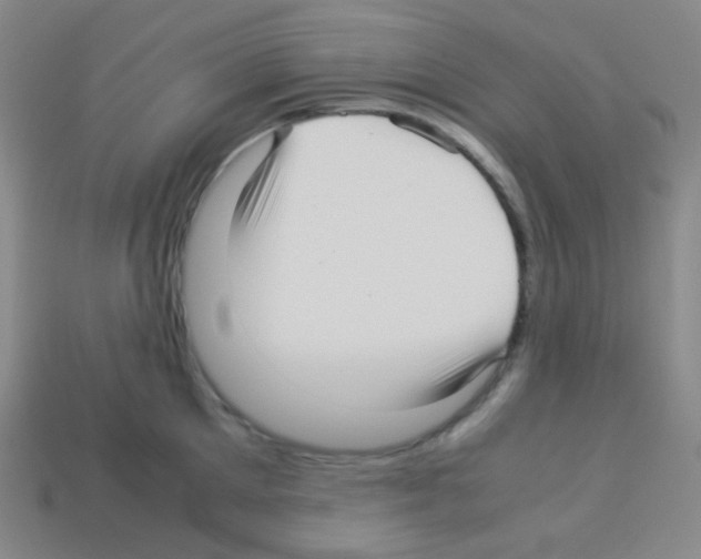 X0000113040905200910081208