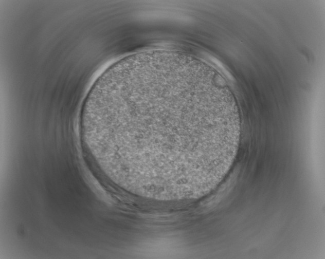 X0000113040907200910081208