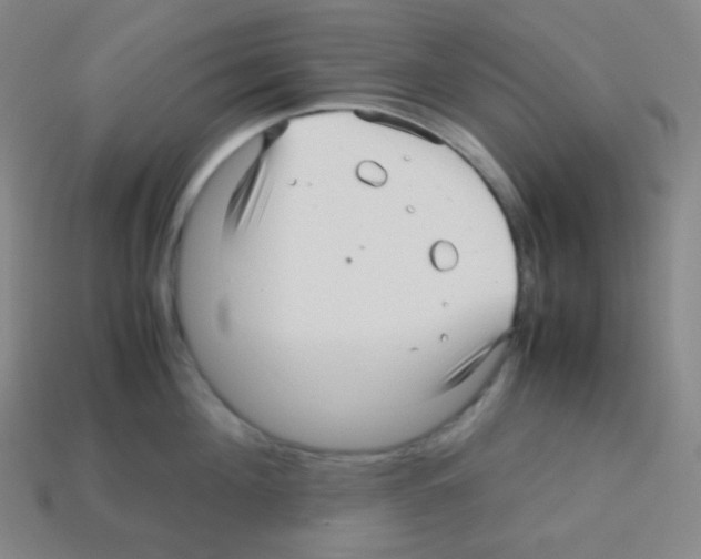 X0000113040908200910081208