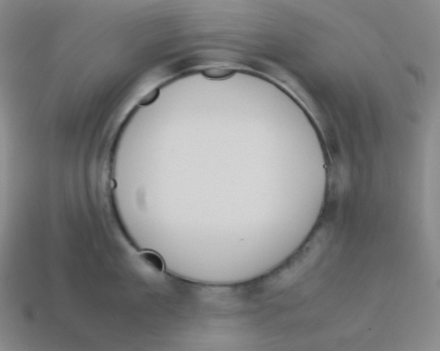 X0000113040909200910081208