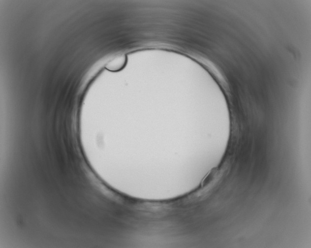 X0000113040910200910081208
