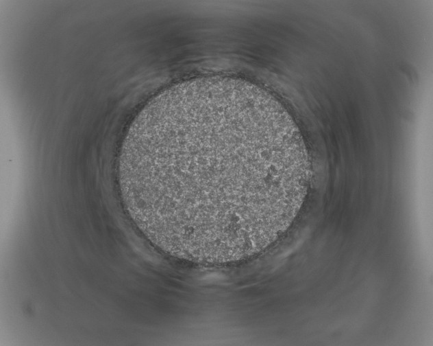 X0000113040913200910081208