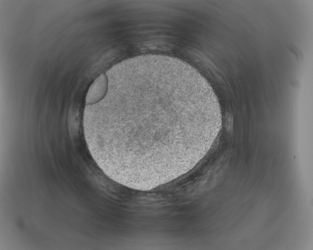 X0000113040915200910081208