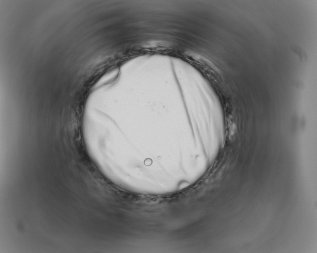 X0000113040917200910081208