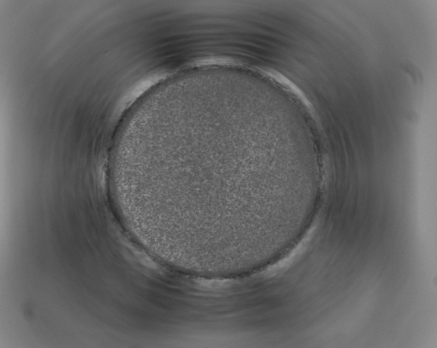 X0000113040921200910081208