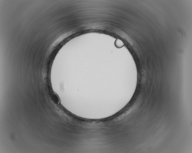 X0000113040922200910081208