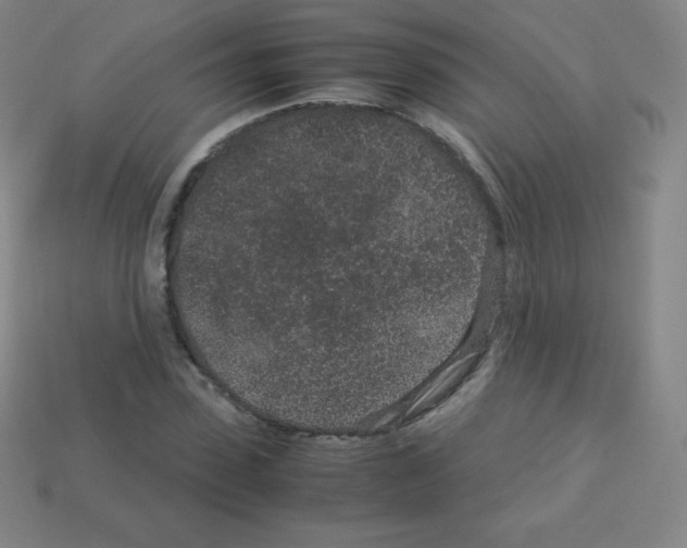 X0000113040923200910081208
