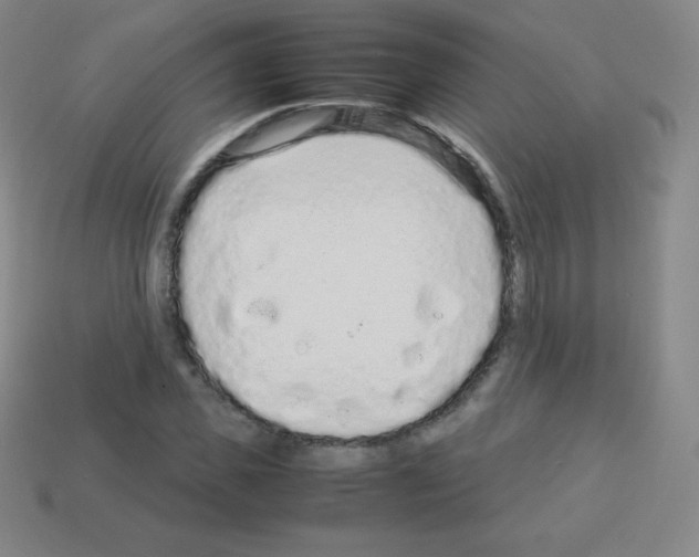 X0000113040925200910081208