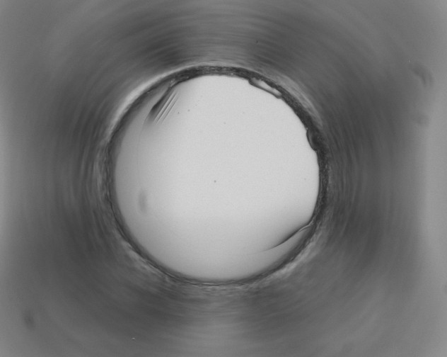 X0000113040926200910081208