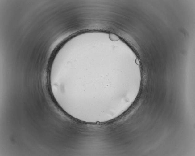 X0000113040928200910081208