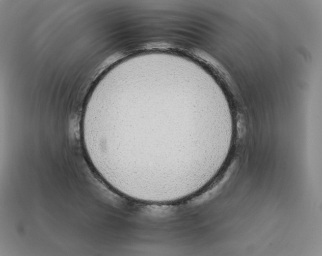 X0000113040929200910081208