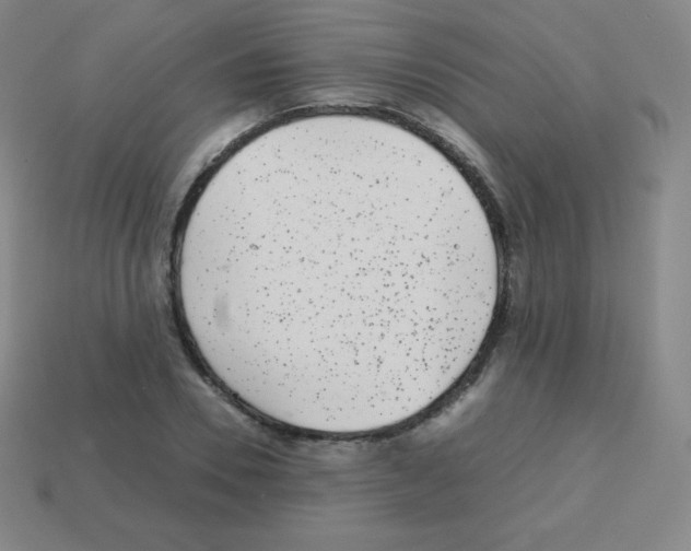 X0000113040930200910081208
