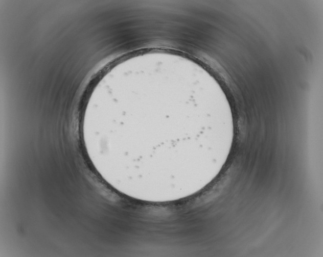 X0000113040931200910081208