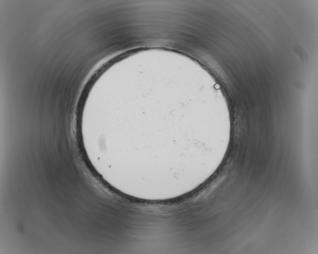 X0000113040932200910081208