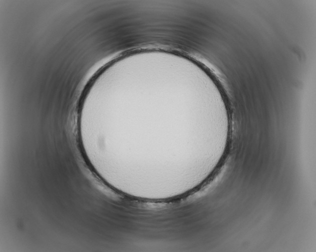 X0000113040933200910081208