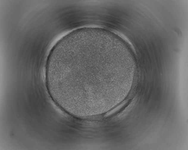 X0000113040935200910081208