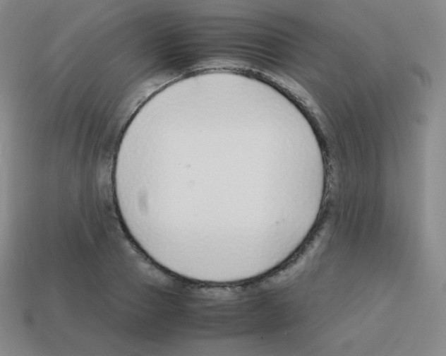 X0000113040937200910081208