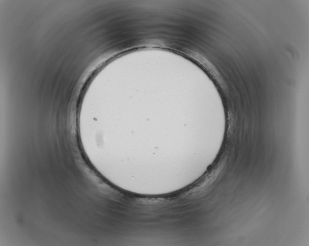 X0000113040939200910081208