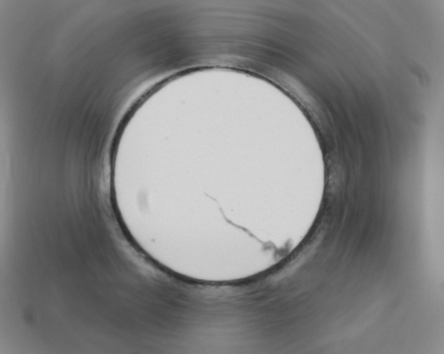 X0000113040940200910081208