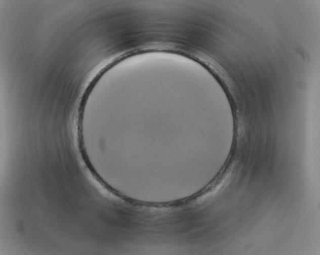 X0000113040941200910081208