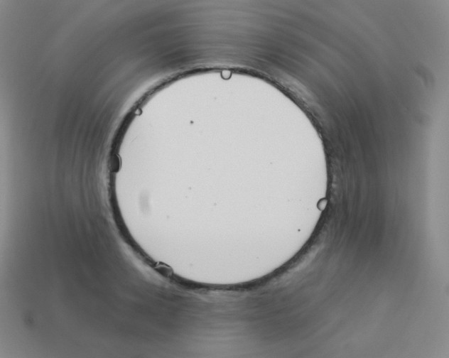 X0000113040942200910081208