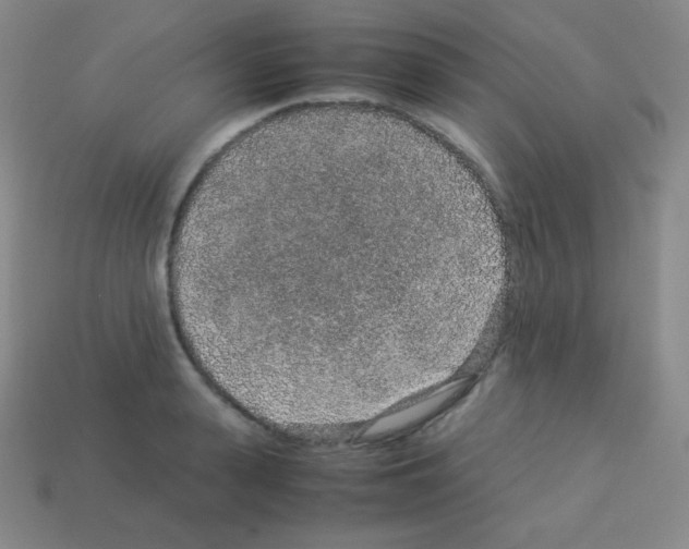 X0000113040943200910081208