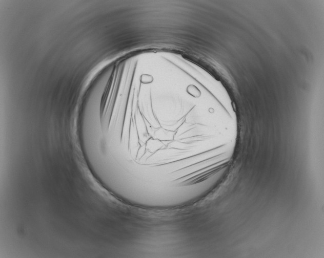 X0000113040944200910081208