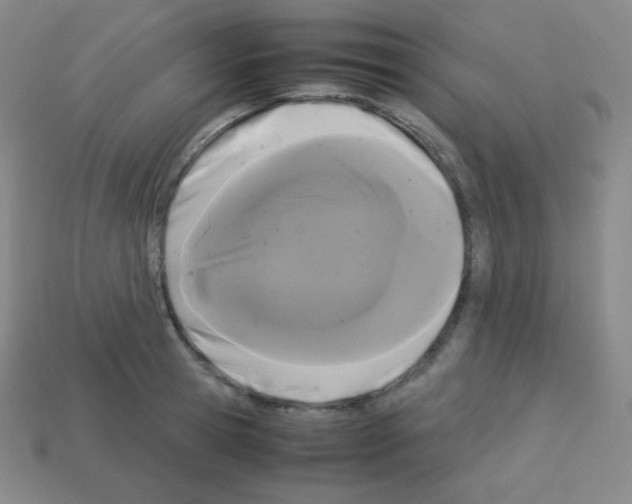 X0000113040945200910081208
