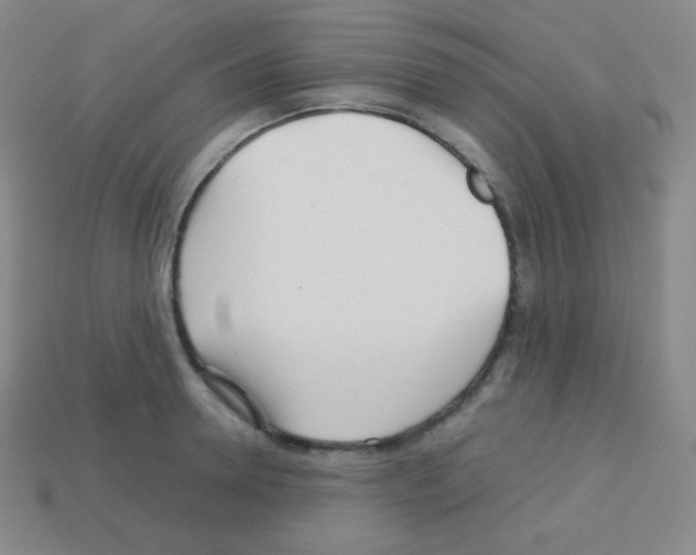 X0000113040946200910081208