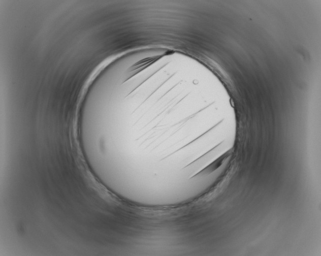 X0000113040948200910081208