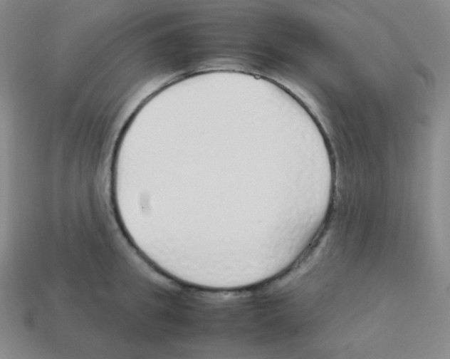 X0000113040949200910081208