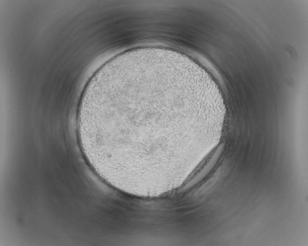 X0000113040951200910081208