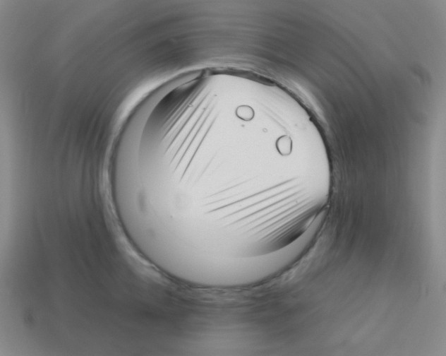 X0000113040952200910081208