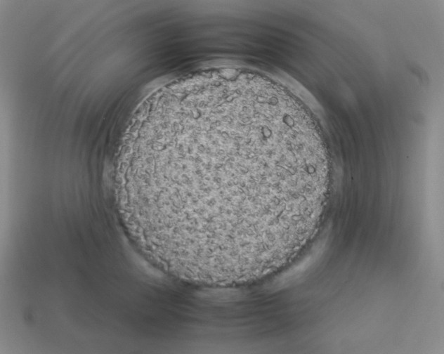 X0000113040953200910081208