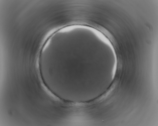 X0000113040958200910081208