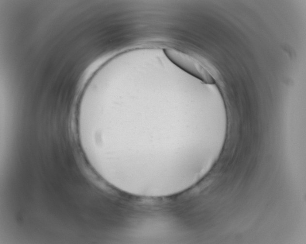 X0000113040960200910081208