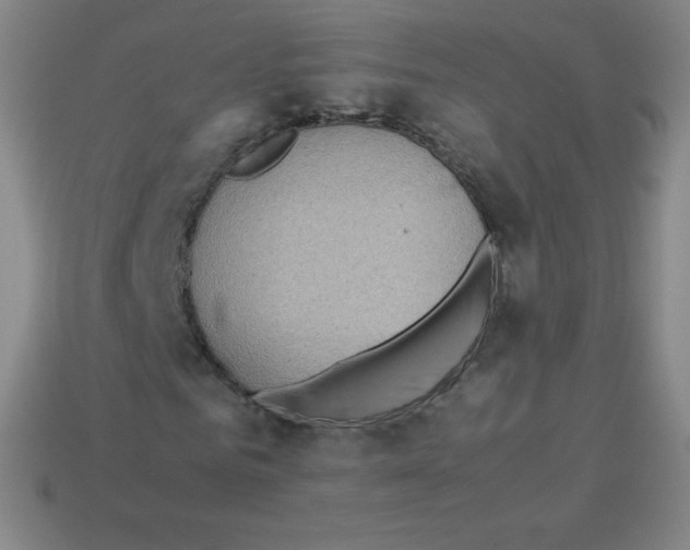 X0000113040961200910081207