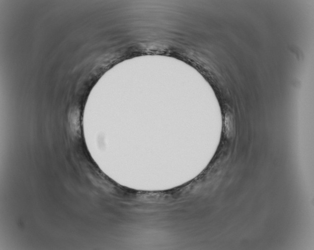 X0000113040963200910081207