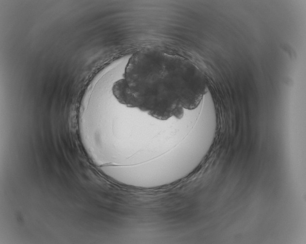 X0000113040964200910081207