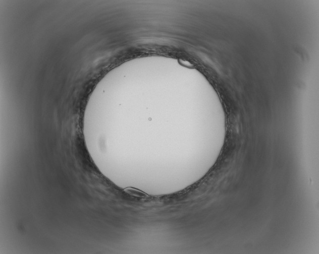 X0000113040965200910081207