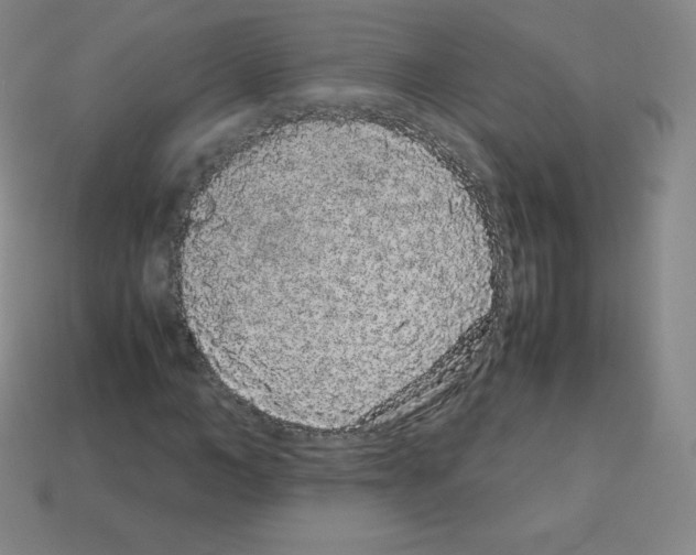 X0000113040966200910081207
