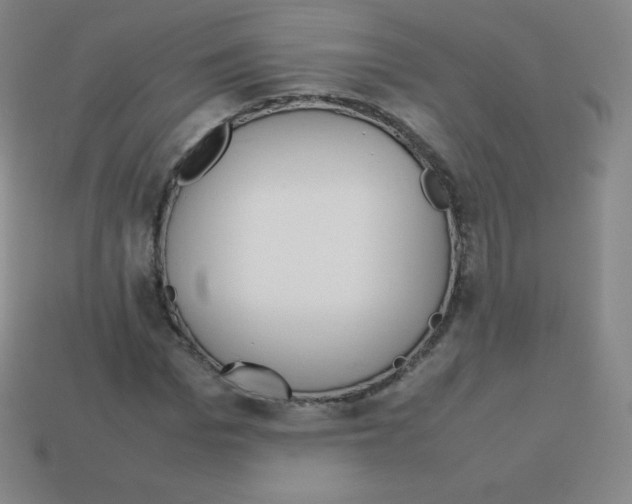 X0000113040969200910081207