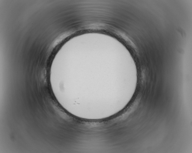 X0000113040970200910081207