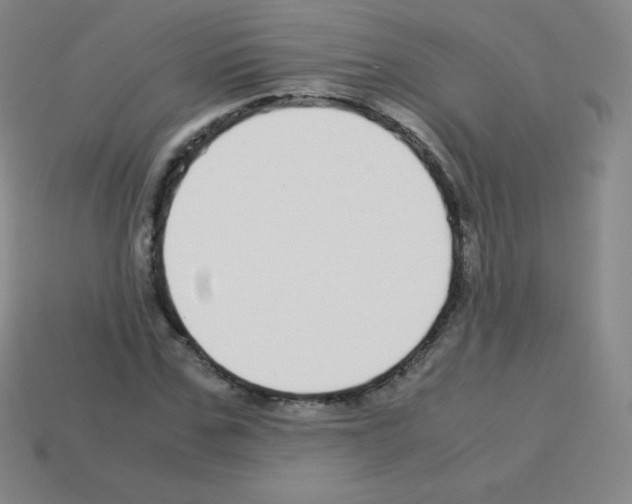 X0000113040971200910081207