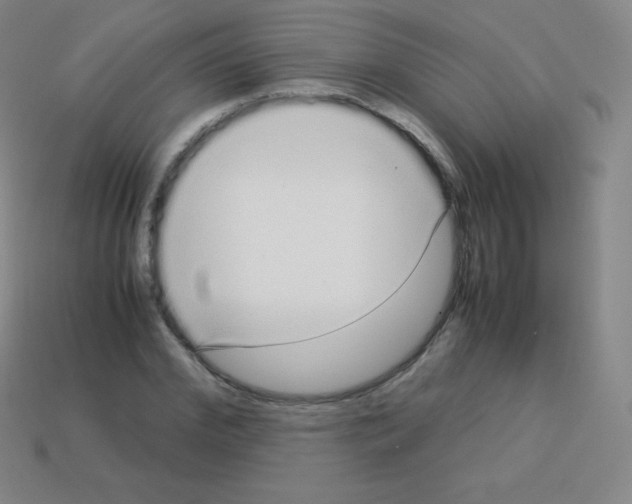 X0000113040972200910081207