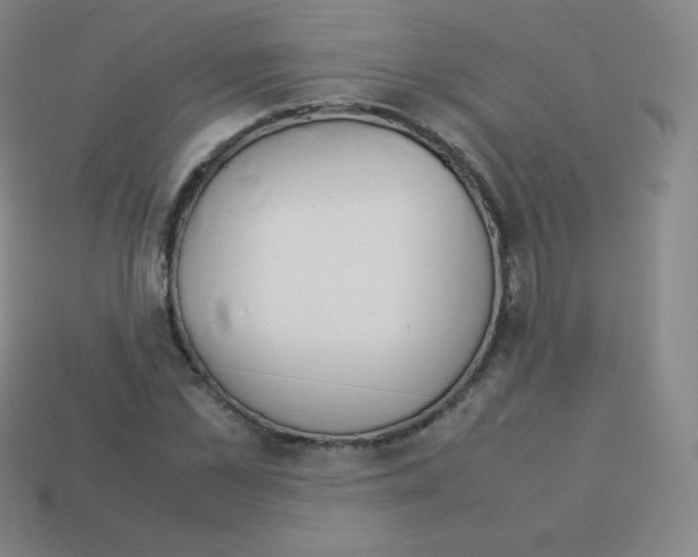 X0000113040973200910081207
