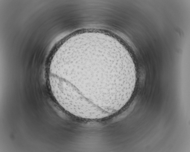 X0000113040974200910081207