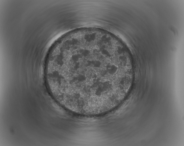 X0000113040975200910081207