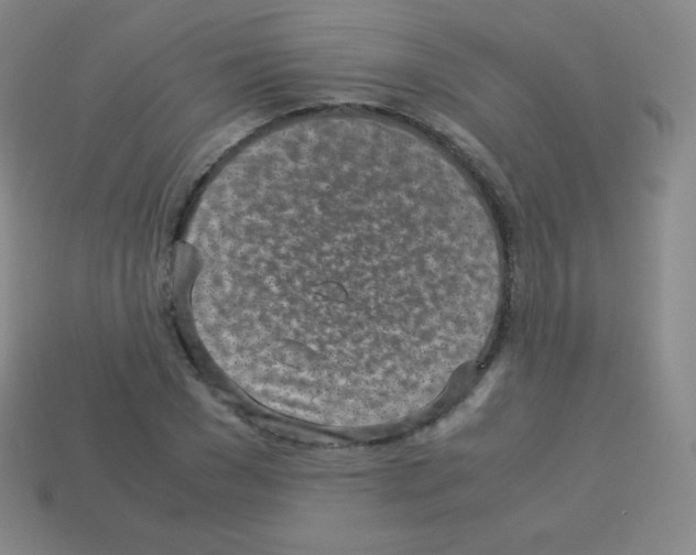 X0000113040977200910081207